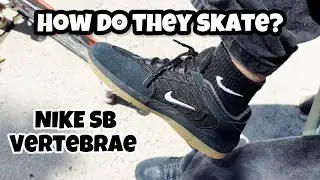 Nike SB Vertebrae Shoe Review