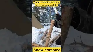 Winter camping in snow with my dog part 01#snowcamping #snowfall #wintercamping #bushcraft #camping