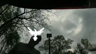 13633 Raven Crow Vinyl Car or Truck Window Decal Sticker #raddezigns
