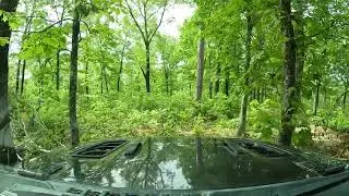 Weekend trip looking for logging history in the Missouri Ozarks
