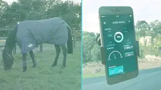 Orscana - The Equine Monitor