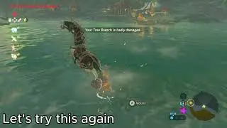 How to make your horse swim botw