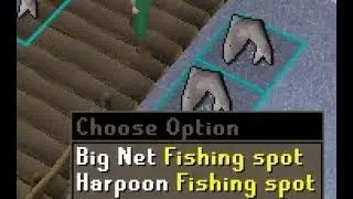 It was impossible to get a raw shark :(