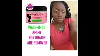 Camille Rose WHIPPED BUTTER GEL | WASH N GO | ARGAN OIL ECOSTYLER GEL