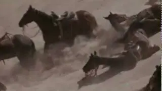 The Wild Bunch - Corporate Training Film Excerpt