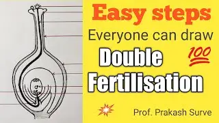 How to draw Double Fertilisation Diagram (New Syllabus) Easy steps By Prof.Prakash Surve(Moderator)