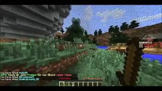 Geiler Server Minecraft