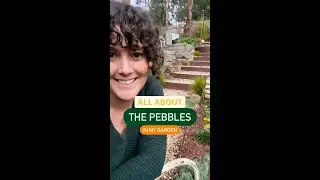 Your Ultimate Guide to My Garden Pebbles 🌿 Garden Path Pebbles or Stones - which I use & why!