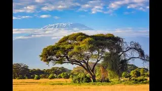 Vibes of Africa   #africa #travel #nature #landscape #relaxingmusic