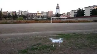 seraphi quadcopter with ld-power, hobbywing 20A
