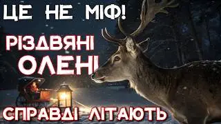 ANIMALS-SYMBOLS OF CHRISTMAS: WHY THEY BECAME PART OF THIS STORY