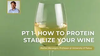 How to Protein Stabilize a White Wine - Part 1, The role of Bentonite