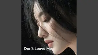I Can't Let You Go