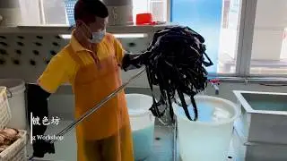 Professional Zipper Factory in China