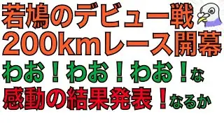 #95 秋レースはまるで運動会…。の巻