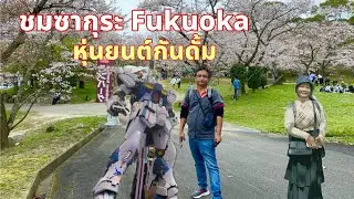 ชมดอกซากุระที่ฟุกุโอกะล่าสุด ยูฟูอิน ทะเลสาบคิริน ศาลเจ้า Dazaifu ดูหุ่นยนต์กันดั้มยักษ์ lalaport