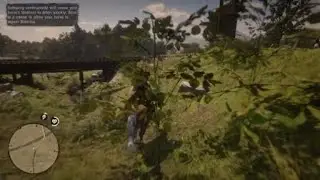God tier horse