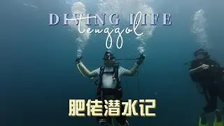 天鹅岛 - 深潜（Deep Dive）