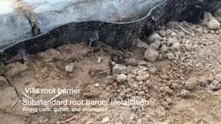 Substandard Root Barrier: Why City Specifications Matter