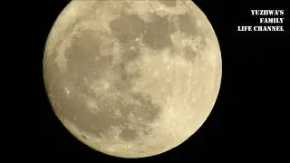 (Looking at the Sky) Spectacular Supermoon November 2016 - FL United States