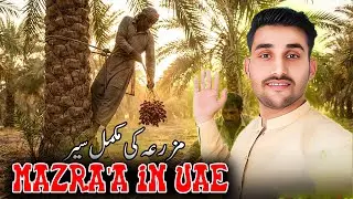 UAE Village Life 🇦🇪 | Exploring Dubai Mazra | Real Rural UAE