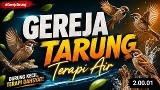 MASTERAN GEREJA TARUNG SUARA JERNIH | MASTERAN HANDAL + TERAPI AIR
