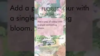 FLORIST TIP OF THE DAY! Aberdeen Flower Delivery
