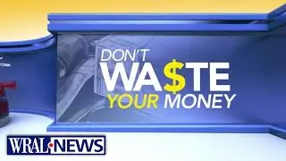 Rent out your backyard for dogs, make money