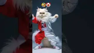 Cat Dance So Cute You&rsquo;ll Watch Twice 😻💃#shorts #viral #ytshorts #dancingcatpurrs