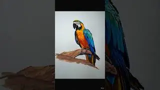 My painting comes alive #mccaw #birds #art #artwork