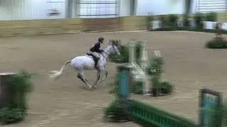 Video of EN PLUS DU GIVRE ridden by JENNIFER MURRAY from ShowNet!