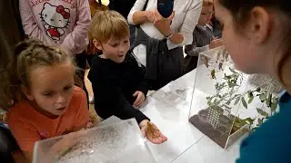 Hokie BugFest 2023