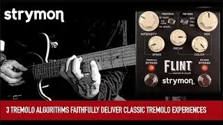 Strymon Flint