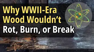 The Forbidden War-Era Formulas That Made Wood Resist Rot, Pests, and Fire