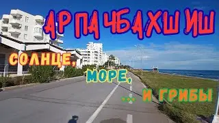 🏠АРПАЧБАХШИШ😎СОЛНЦЕ, МОРЕ🌊 и...ГРИБЫ🍄 #Турция #Мерсин #Арпачбахшиш #море #лес