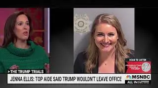 Jenna Ellis testimony 'not reflective of a person who thought Trump should leave office gracefully'