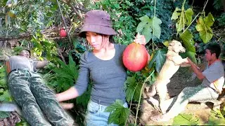Go clear the hills and plant trees, go pick fruit in the forest