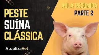 Peste Suína Clássica (PSC) 2ª Parte - AtualizaVet