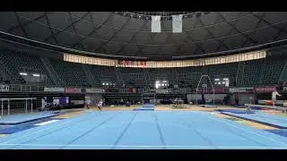 Anastasia Stancu 🥇 FX AA 2025 Balkan Championships