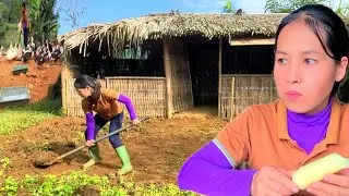Single mother. Renovating the garden. Taking care of the pets.
