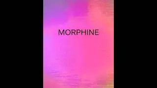 Morphine Raum X Gaswerk Music Days 2024 #livemusic #electronicmusic #festival