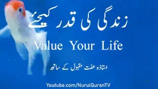 Value Your Life  - Ustazah Iffat Maqbool – NurulQuran