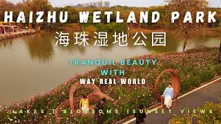 Discover Haizhu Wetland Park's Tranquil Beauty | Lakes, Blossoms & Sunset Views (louder voice ver.)