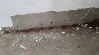Pest Control service at Anakapalli -9550720756 