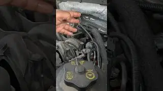 THESE FORD ARE SENSITIVE AND EXTRA #shorts #shortvideos #shortsviral #shortsfeed #youtubeshorts