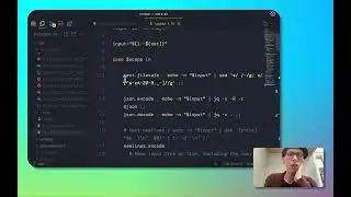 bare codec (url-encoding, json-encoding, base64, etc)
