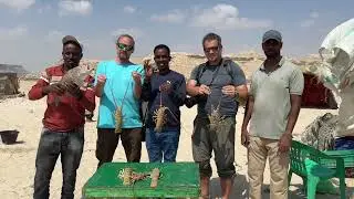 Exploring Eyl, Puntland 🇸🇴 | Beaches, Sand Dunes & History