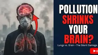 Air Pollution Effects on the Body: Lungs vs. Brain Explained