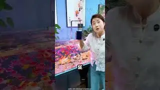 Рисовать воду и удивлять рыбу! 🐠