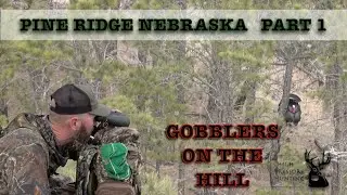 Pine Ridge Nebraska Part 1  Gobblers on The Hill